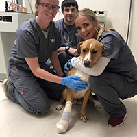Describe student life at Pima Medical Institute - Dillon. What do students experience? How do students connect?